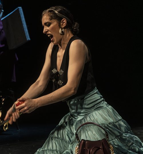 bm101286 mejorado nr