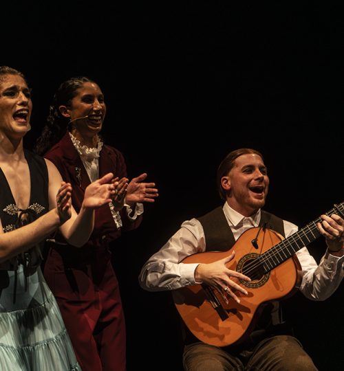 bm101393 mejorado nr