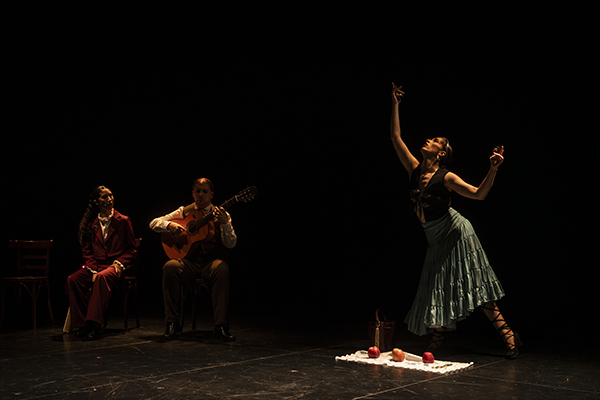 bm101265 mejorado nr