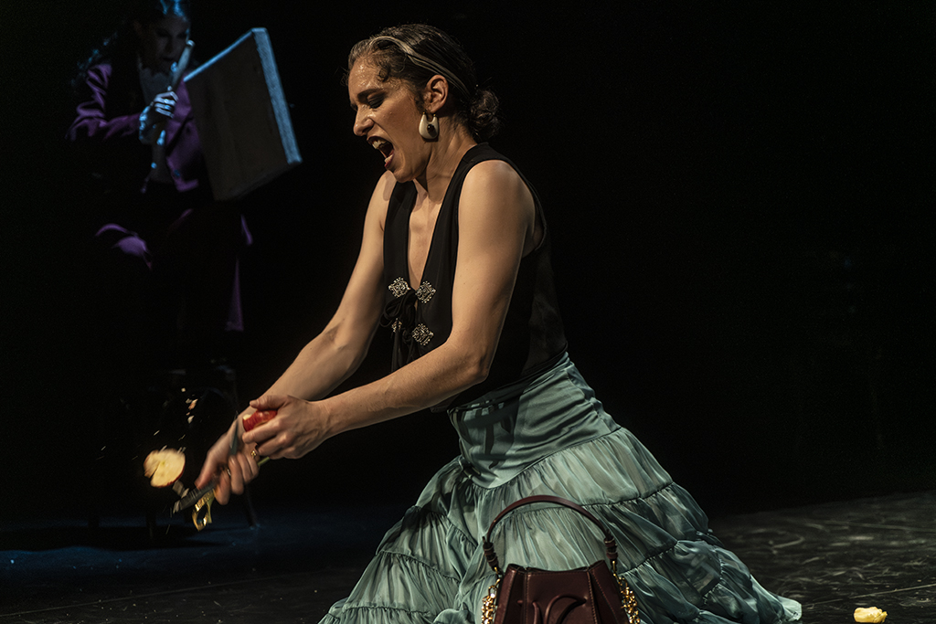 bm101286 mejorado nr