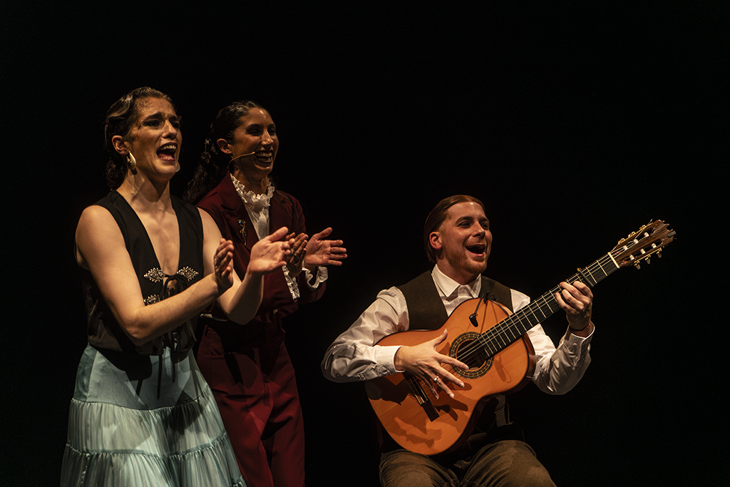 bm101393 mejorado nr